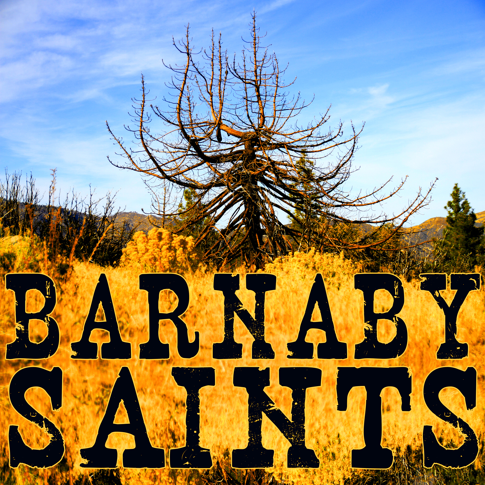 Barnaby Saints EP